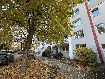 Pronájem bytu 1+1 40 m², Dlouhá, Zlín